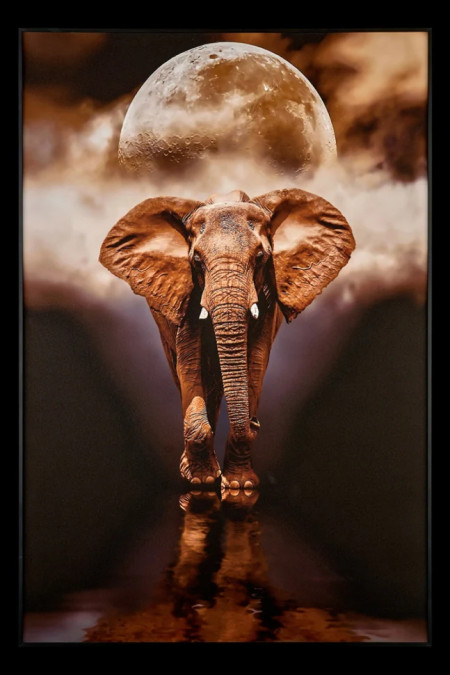 Картина Teona Decor Elephant TD105