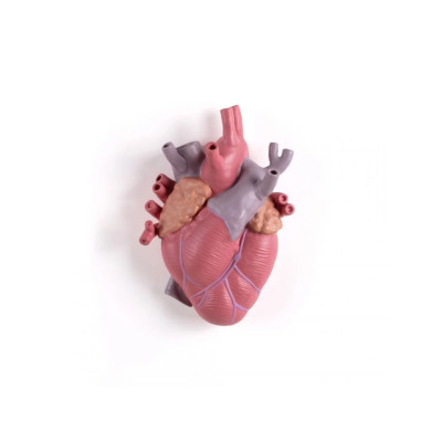 Ваза Seletti Love in Bloom 9923