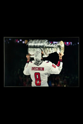 Картина Teona Decor Hockey TD233