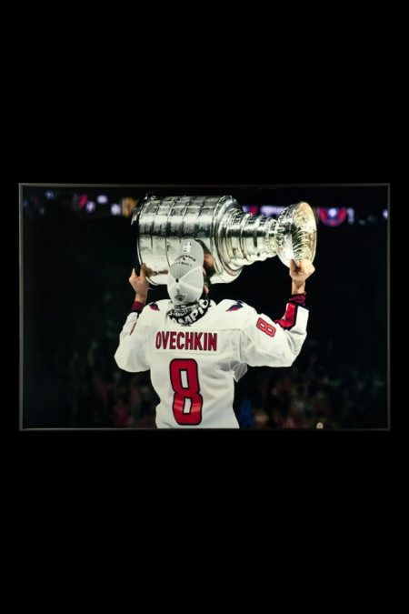 Картина Teona Decor Hockey TD233