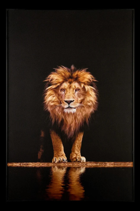 Картина Teona Decor Lion TD142