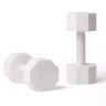 Декоративные гантели Seletti Lvdis 10133